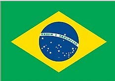 Brazilian flag