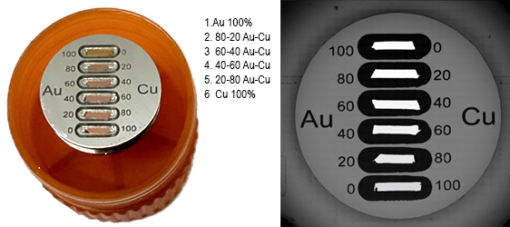 EM-Tec RXS-6AC Quantitave EDX analyis test standard with  Au-Cu alloys, 6 NIST certified materials on pin stub